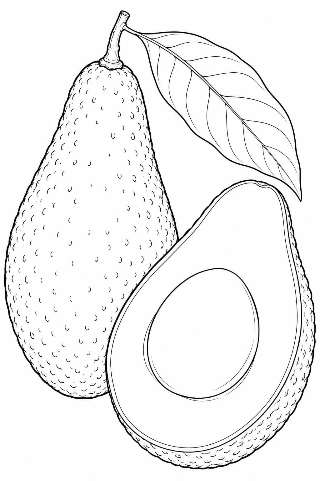 Realistische Fuerte-Avocado Ausmalbild – realistische Malvorlage in Schwarz-Weiß