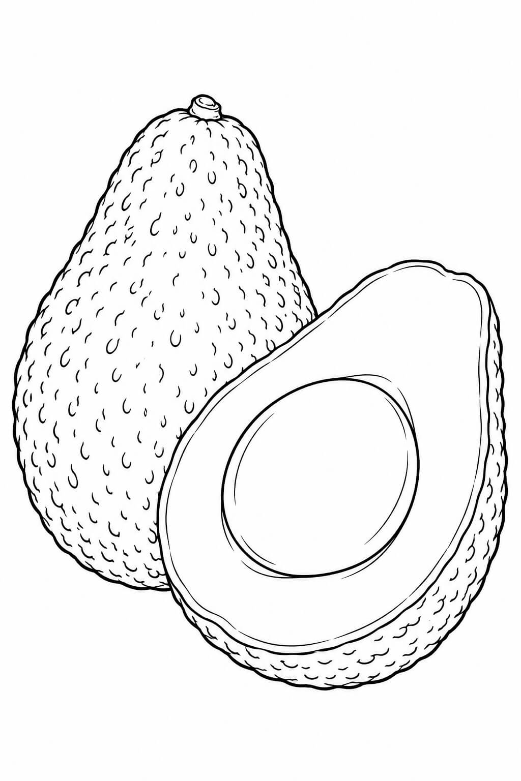 Realistische Avocado Ausmalbild – realistische Malvorlage in Schwarz-Weiß