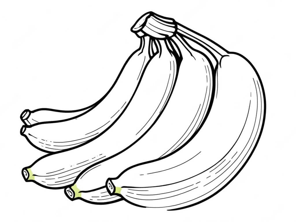 Bananenstaude Ausmalbild