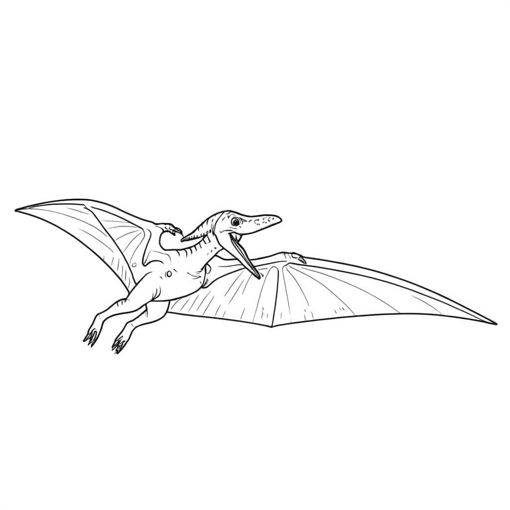 Pterodaktylus Ausmalbild