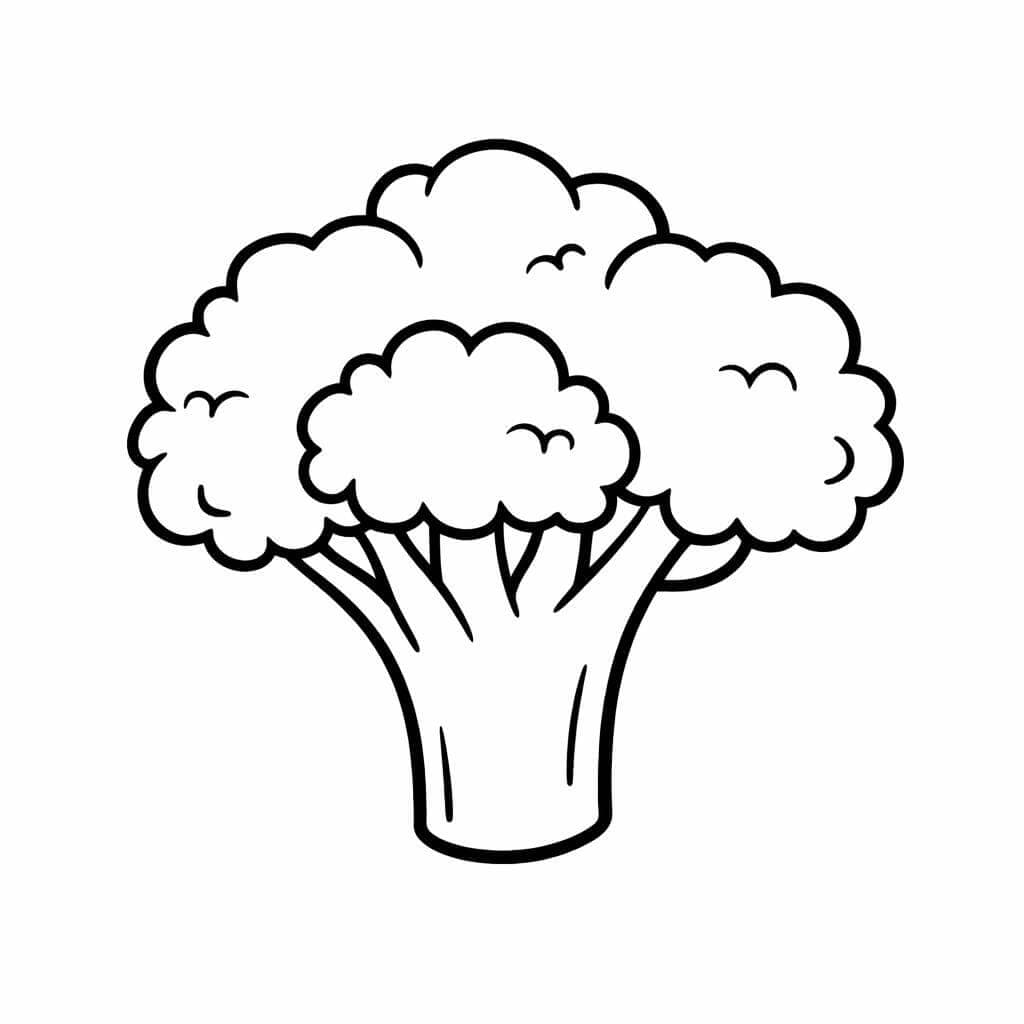 Brokkoli Ausmalbild