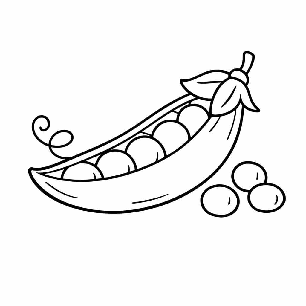 Erbsen Ausmalbild
