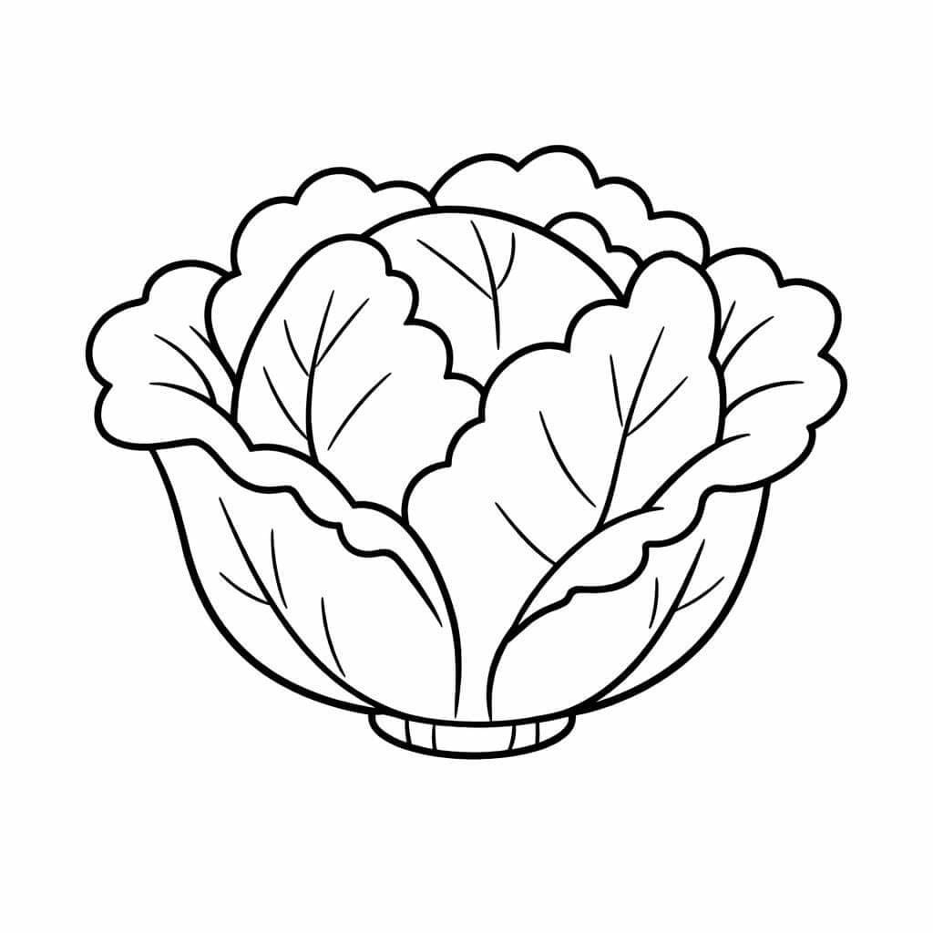 Kohl Ausmalbild