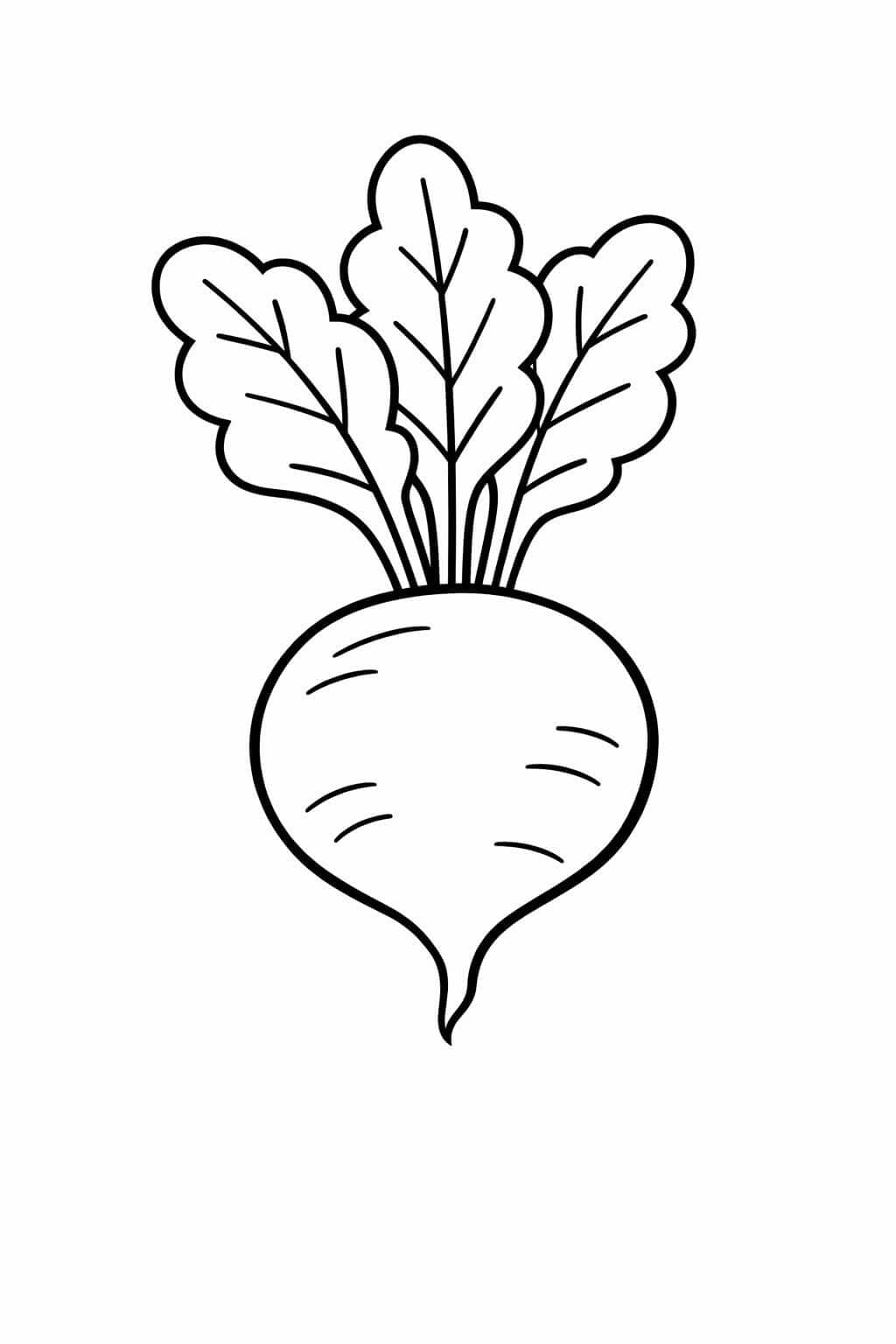 Rote Bete Ausmalbild
