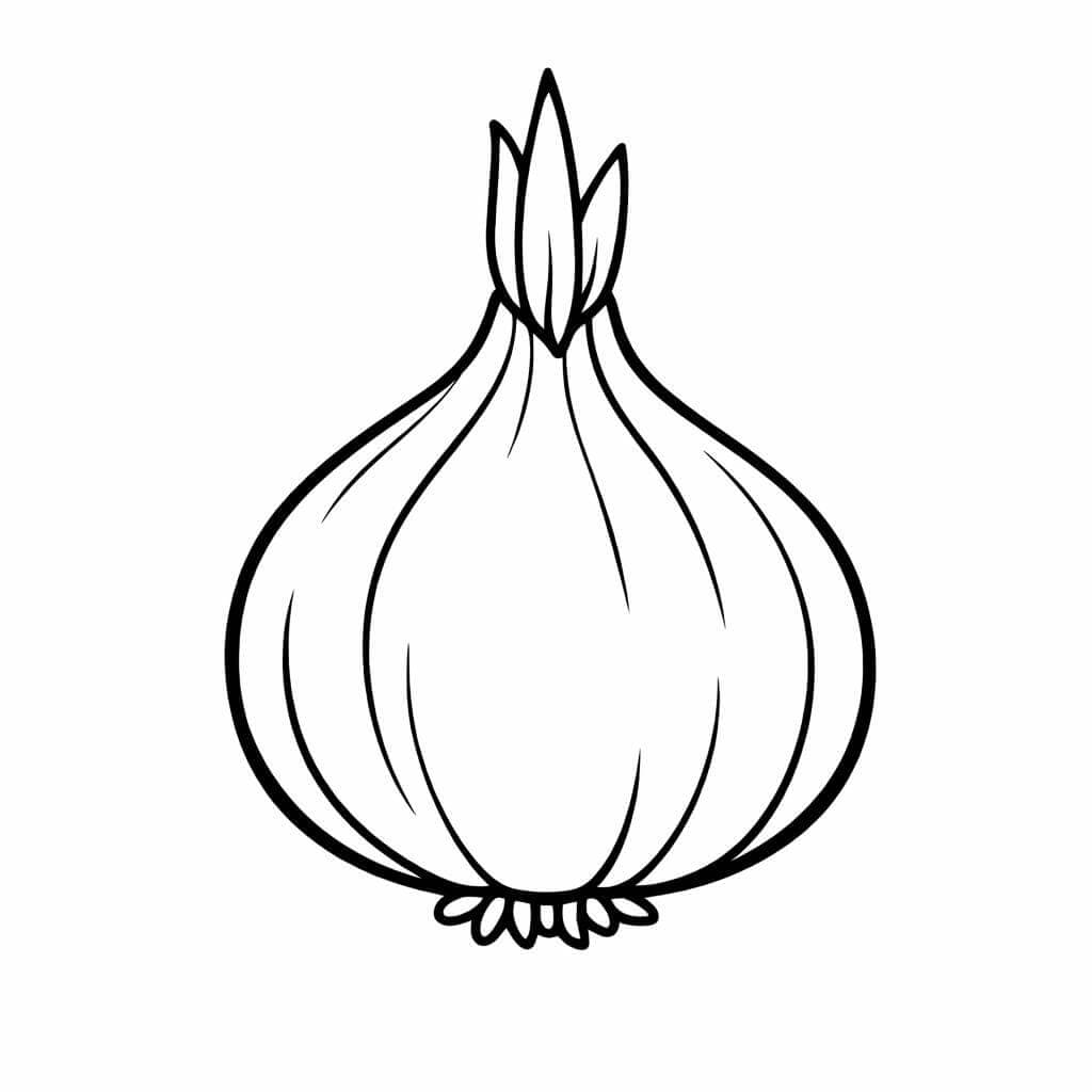 Zwiebel Ausmalbild