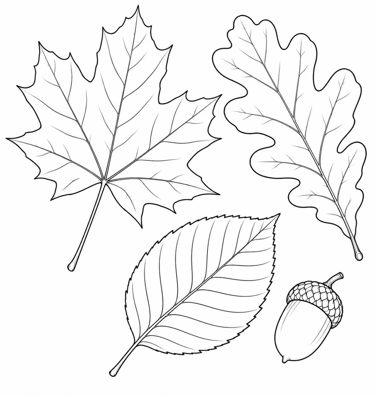 Realistische Herbstblätter – Malvorlage in Schwarz-Weiß