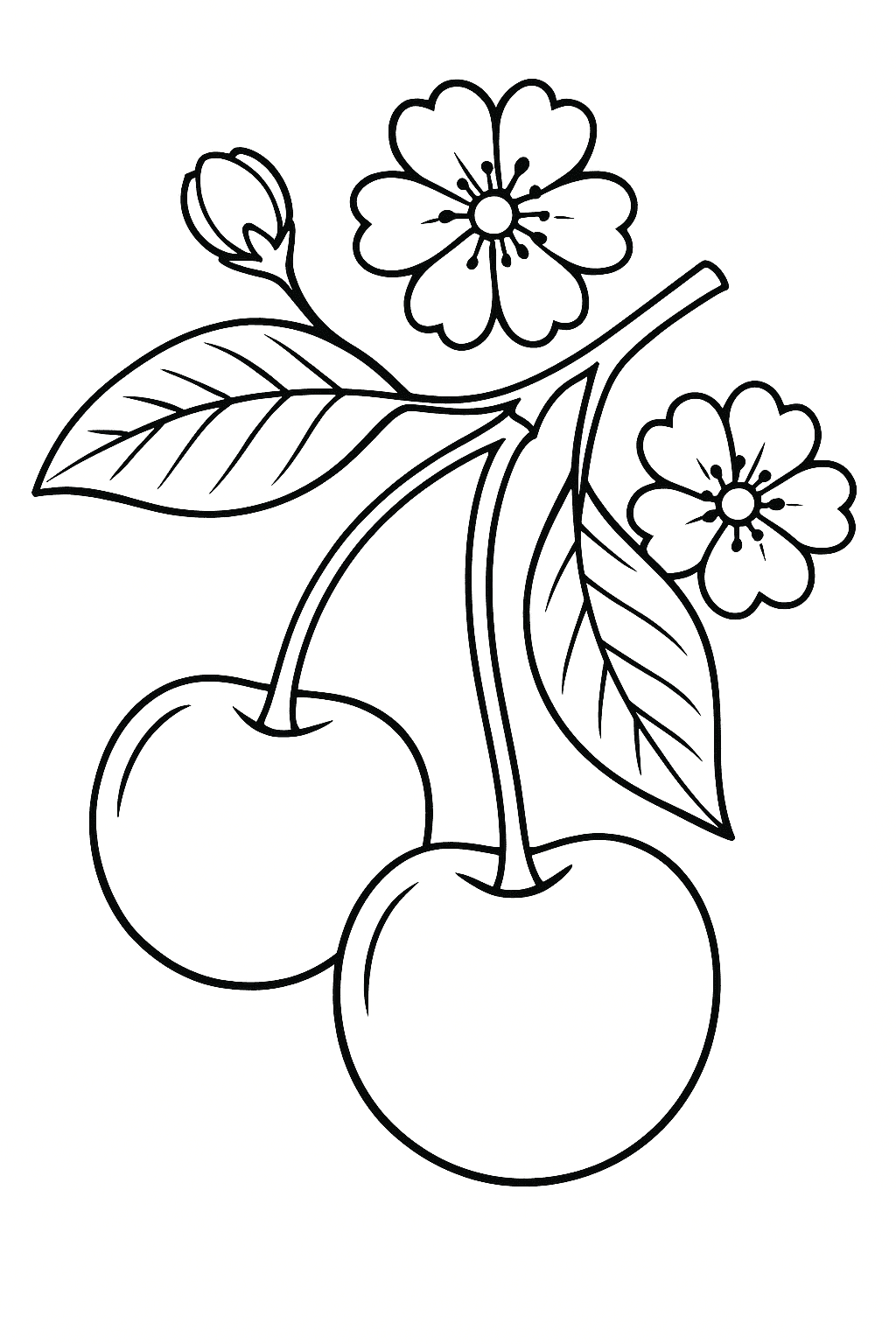 Kirschen mit Blumen Ausmalbild