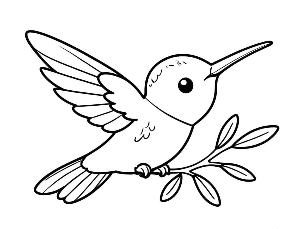 Kolibri für Kinder Ausmalbild
