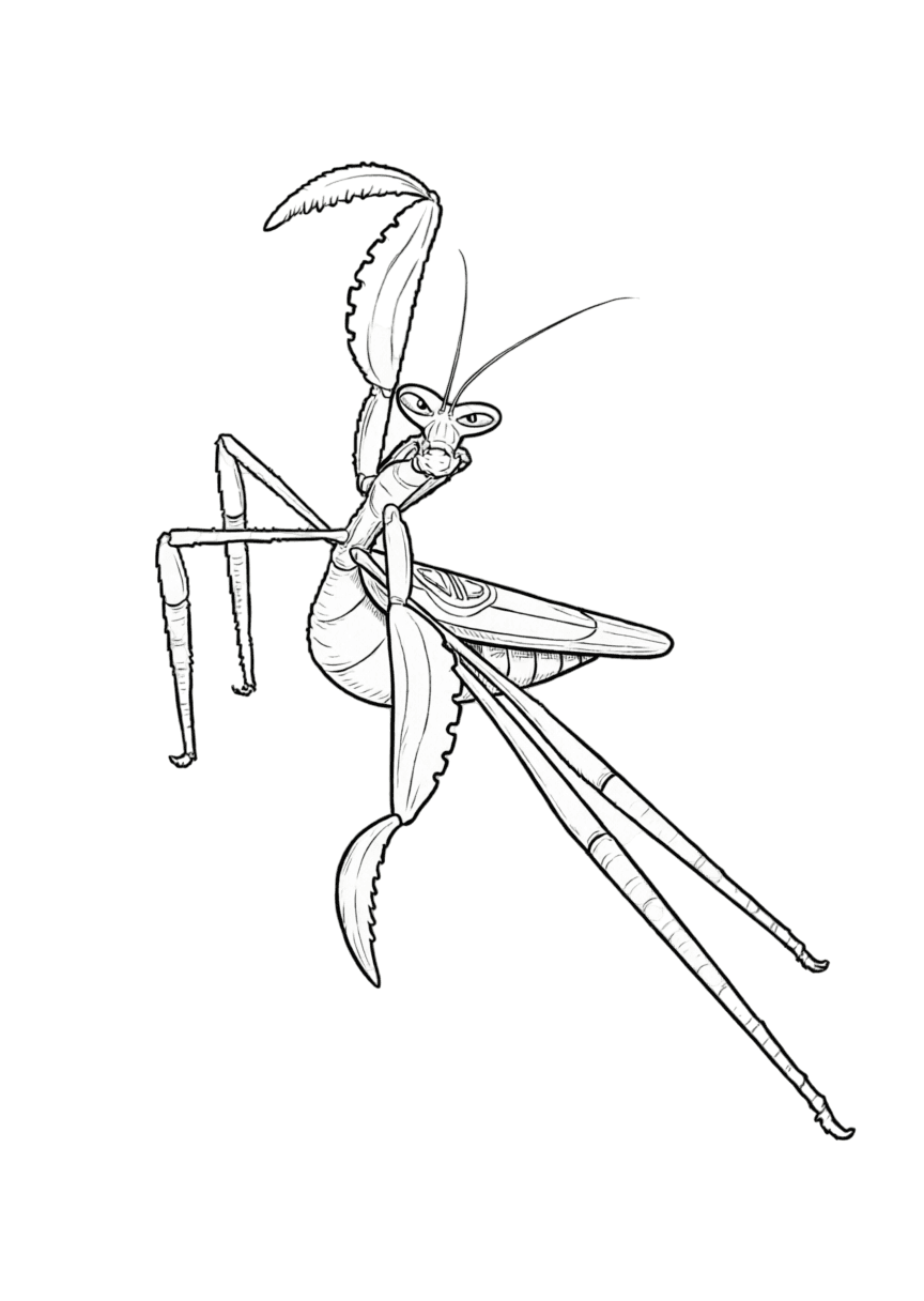 Meister Mantis Kung Fu Panda Ausmalbild