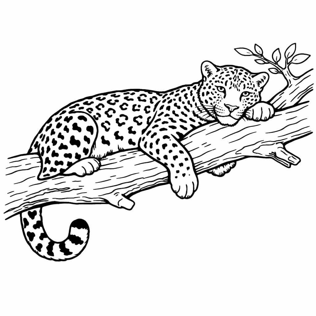 Leopard auf Baum Ausmalbild