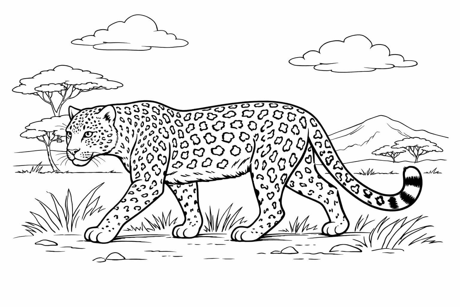Leopard Ausmalbild