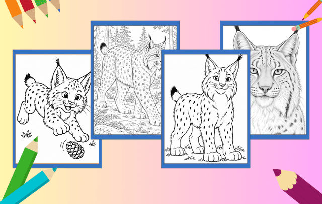 Luchs Ausmalbilder