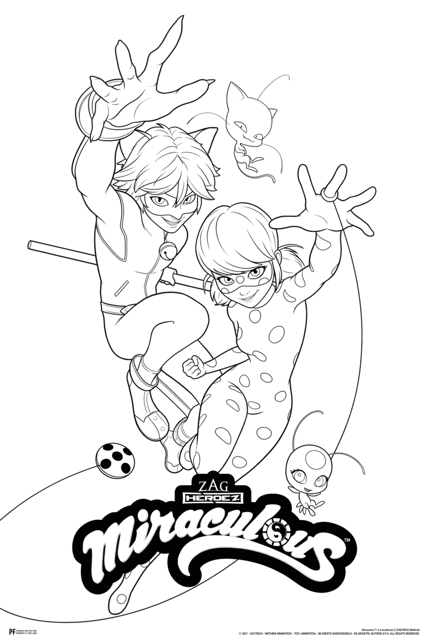 Ladybug und Cat Noir Ausmalbild
