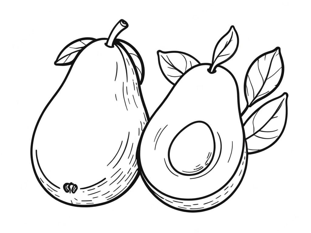 Avocado Ausmalbild