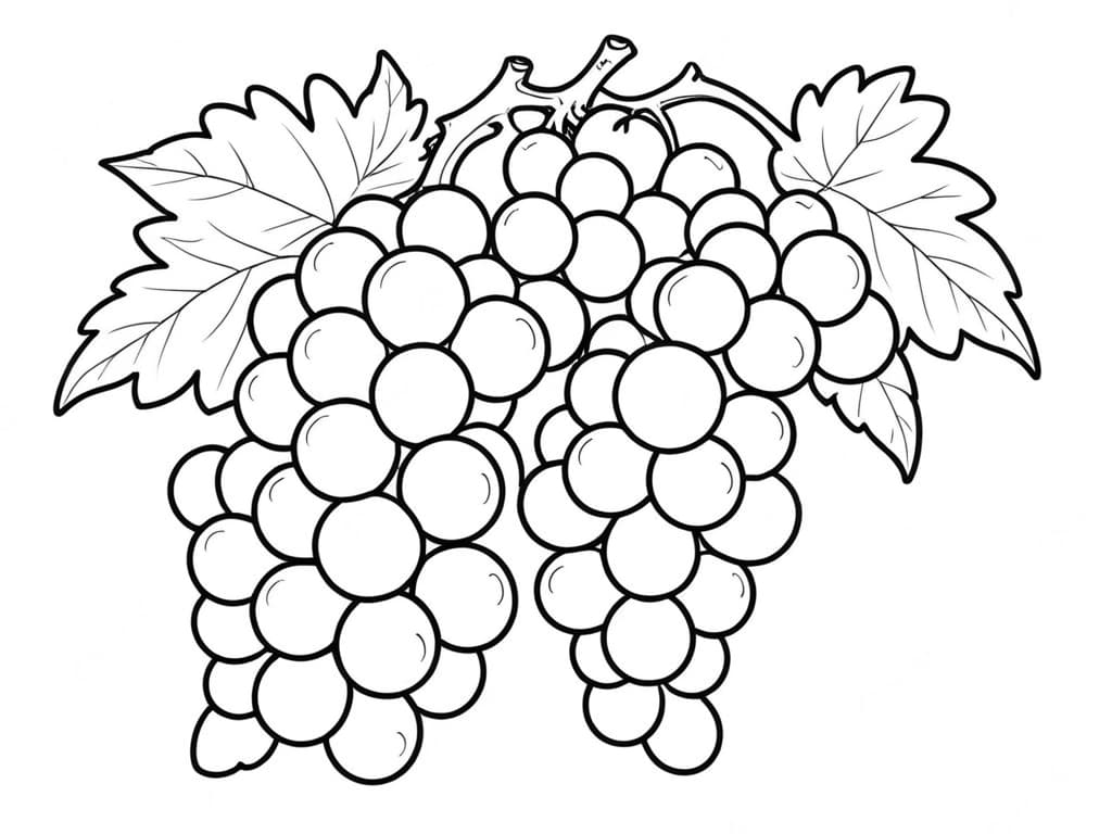 Trauben Ausmalbild