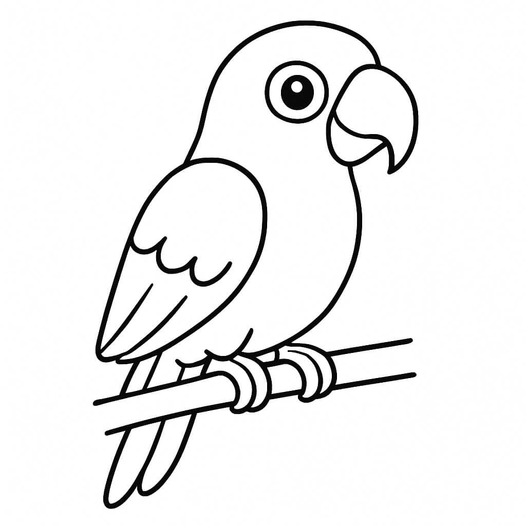 Papagei Ausmalbild