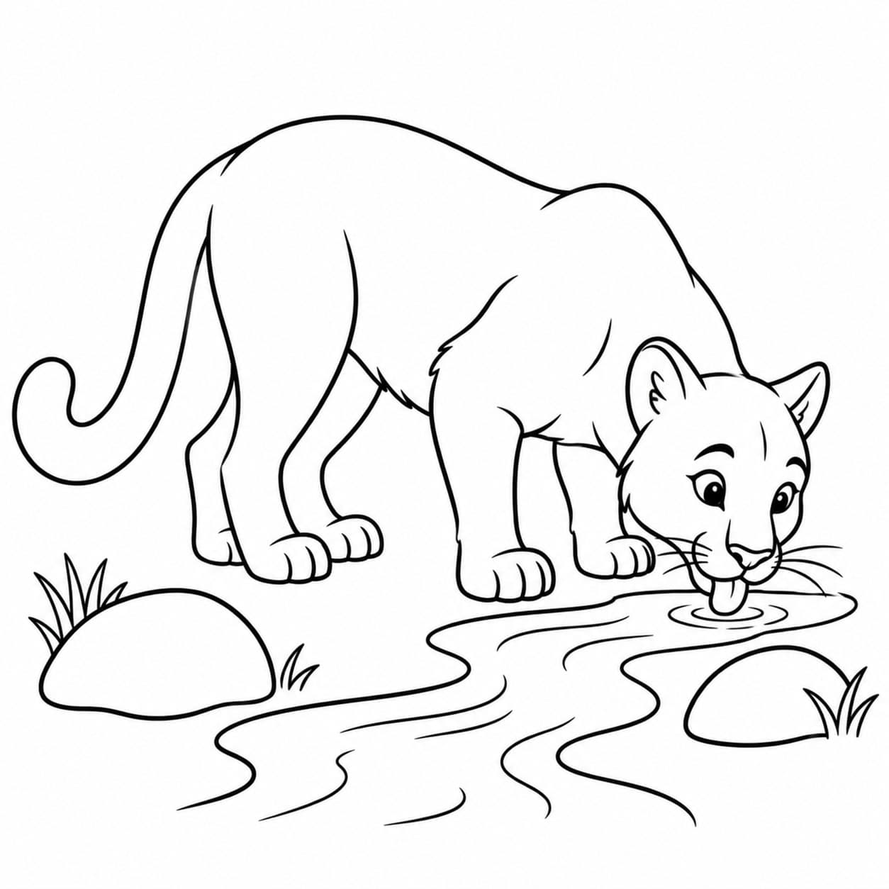 Puma trinkt an einem Bach Ausmalbild