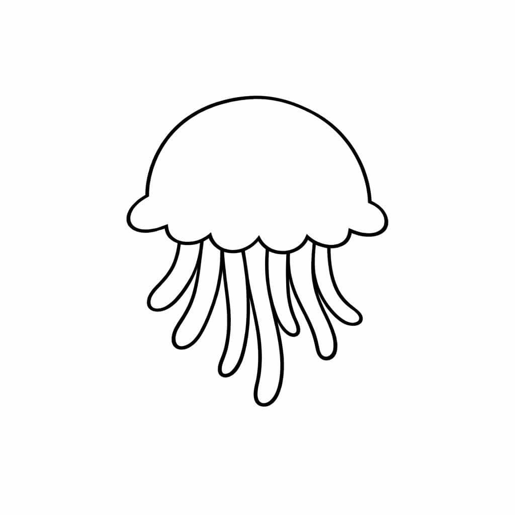 Qualle mit einfacher Kontur Ausmalbild