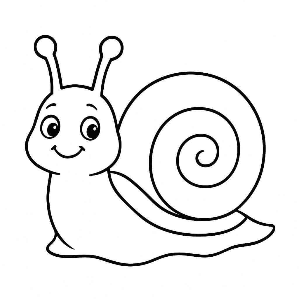 Schnecke zum Ausmalen