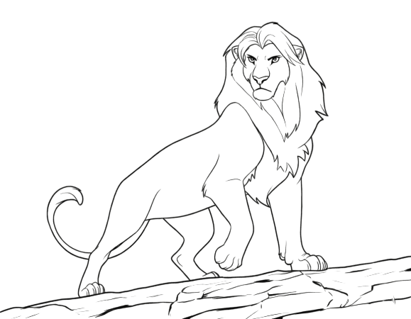 Aufmerksamer erwachsener Simba Ausmalbild