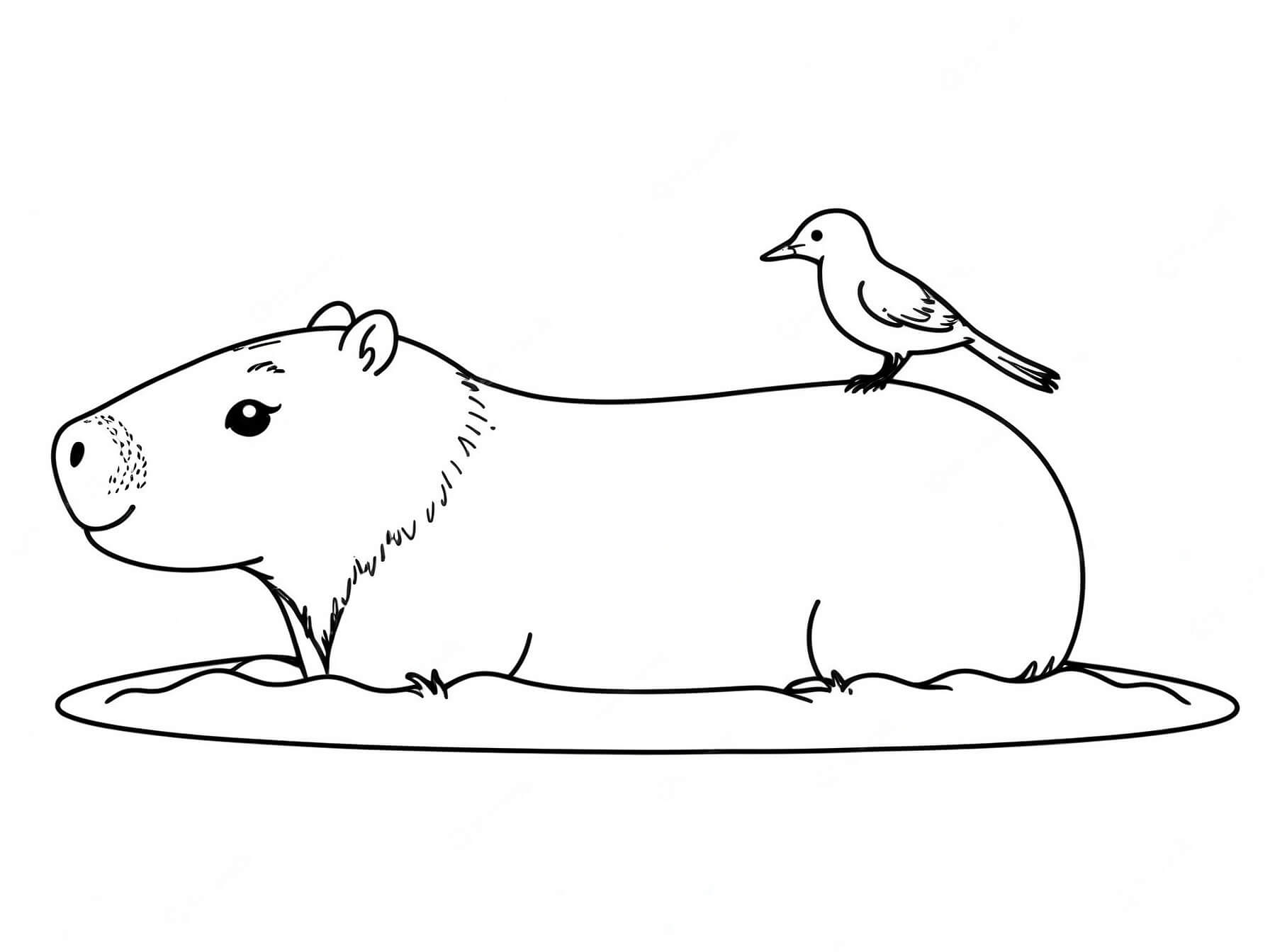 Capybara mit vogel ausmalbild zum Ausmalen