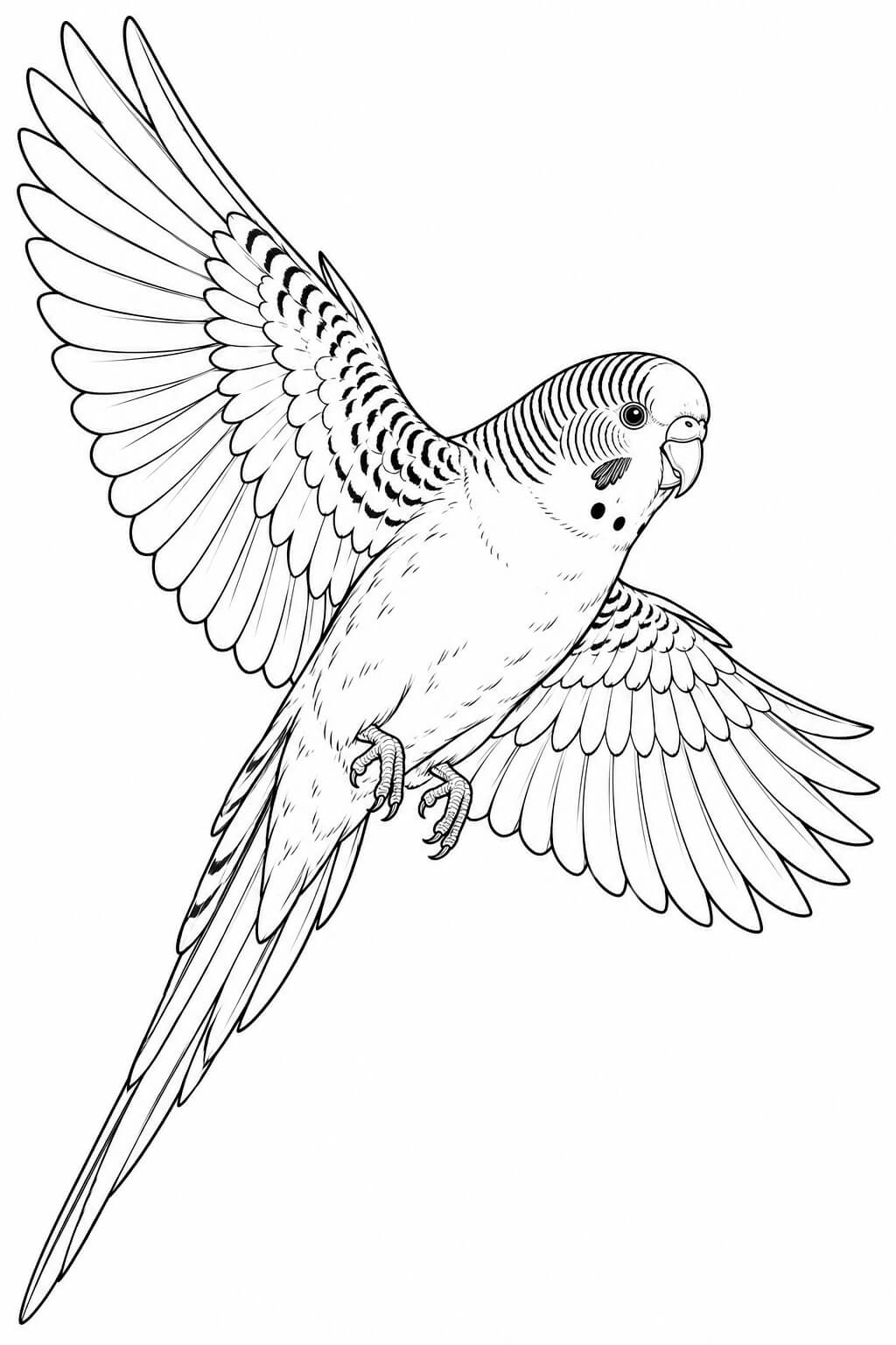 Realistischer fliegender wellensittich ausmalbild zum Ausmalen